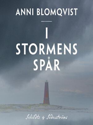 cover image of I stormens spår